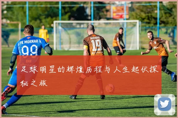 足球明星的辉煌历程与人生起伏探秘之旅