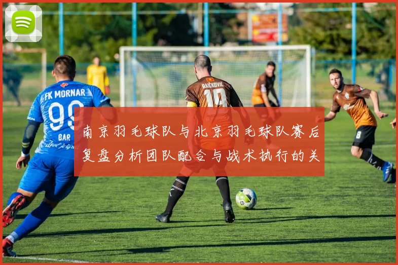 南京羽毛球队与北京羽毛球队赛后复盘分析团队配合与战术执行的关键因素