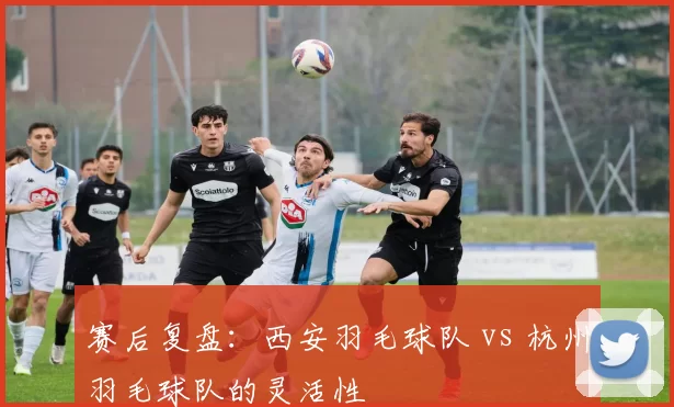 赛后复盘：西安羽毛球队 vs 杭州羽毛球队的灵活性