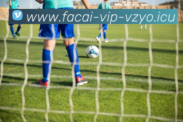 星空体育注册发展历程